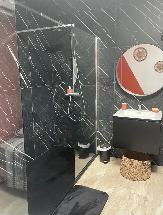 Studio Cosy Tt Confort Proche Aeroport Colombier-Saugnieu Zewnętrze zdjęcie