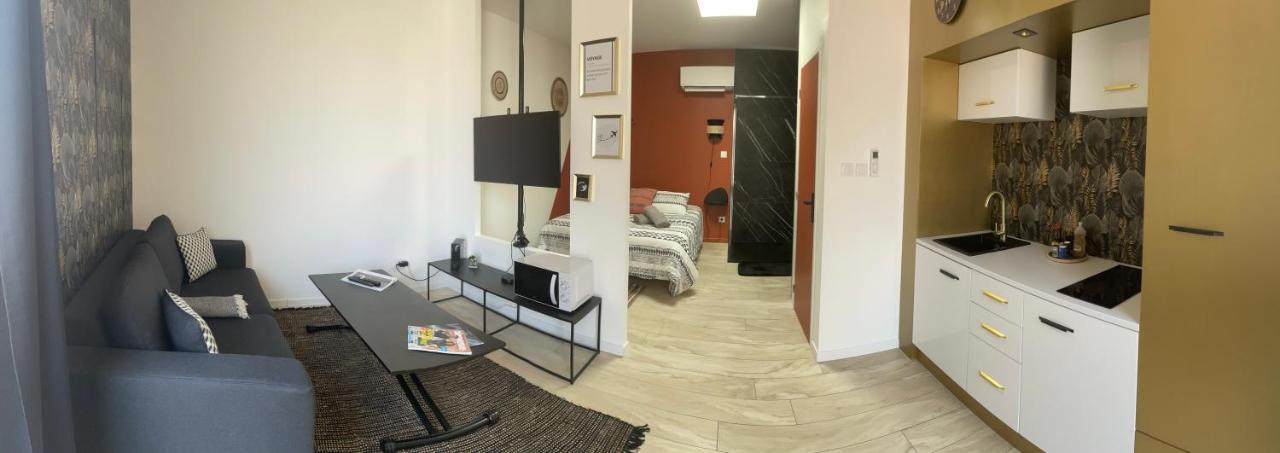Studio Cosy Tt Confort Proche Aeroport Colombier-Saugnieu Zewnętrze zdjęcie